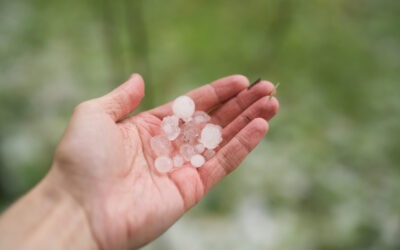 How to Prepare Your Roof for Storm Season