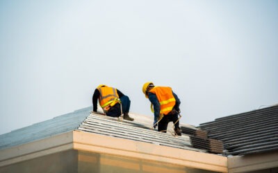 Illinois Residential & Commercial Roofing: Holthaus Roofing