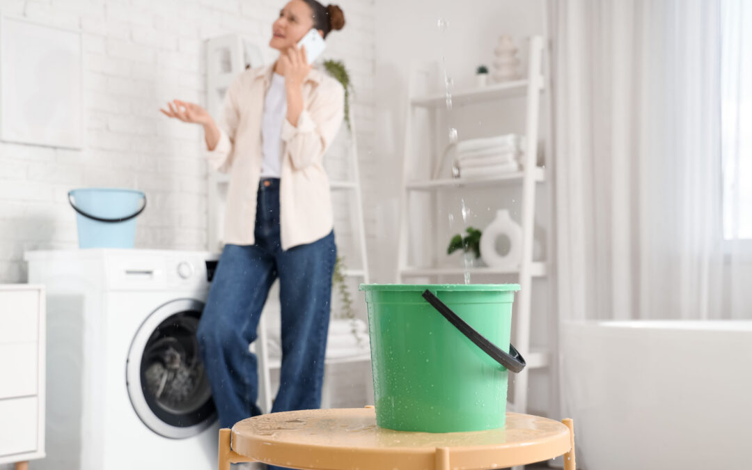 Did your roof spring a leak? Now what?