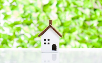 Essential Roof Maintenance Tips Every Homeowner Should Know