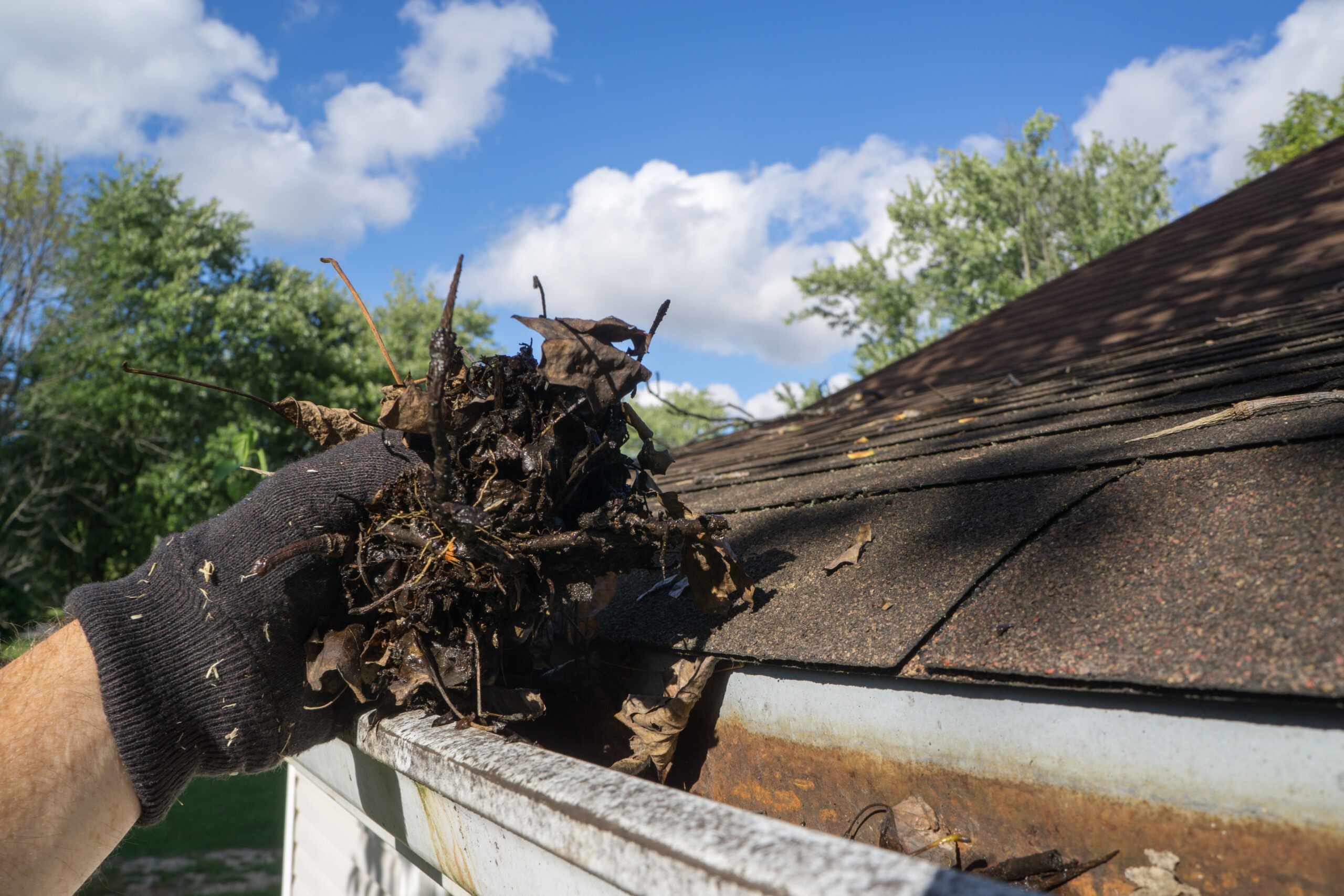 A gloved hand clearing a residential gutter where loose shingle granular collects