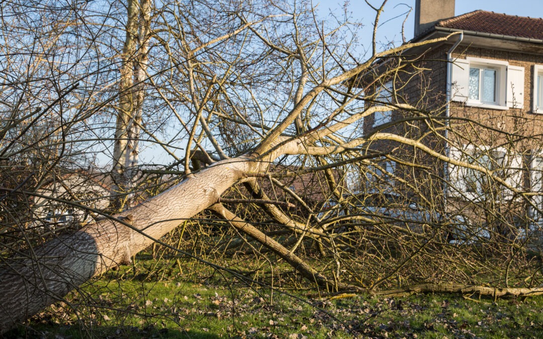 Storm Damage Warning Signs Every Homeowner Should Know