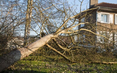 Storm Damage Warning Signs Every Homeowner Should Know