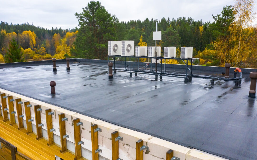 Best Roofing Options for Commercial Buildings