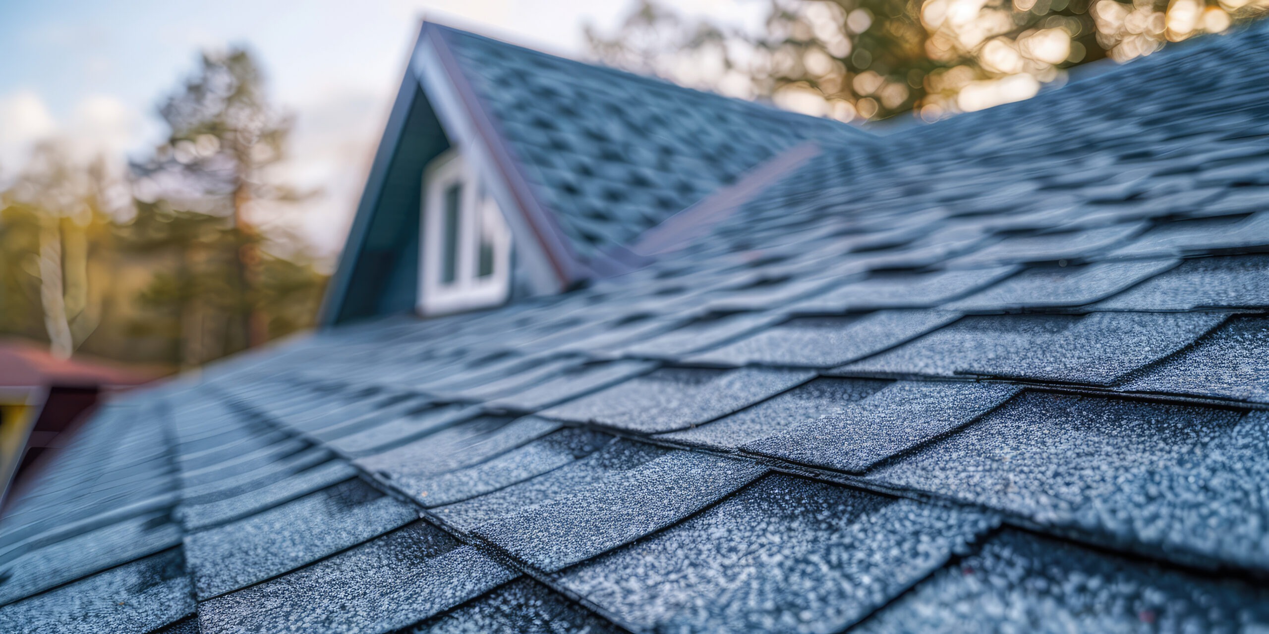 Close-up view of gray asphalt roof shingles on a house, with trees and a window visible in the blurred background. Close-up view of gray asphalt roof shingles on a house, with trees and a window visible in the blurred background.