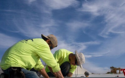 Minnesota Roofing Guide: Repair, Replace, and Prevent Damage