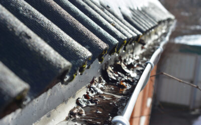 Get Your Roof Ready for Spring: Essential Maintenance Tips