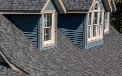 How a Roofing Contractor With Adjuster Experience Can Help You Through an Insurance Claim in Illinois