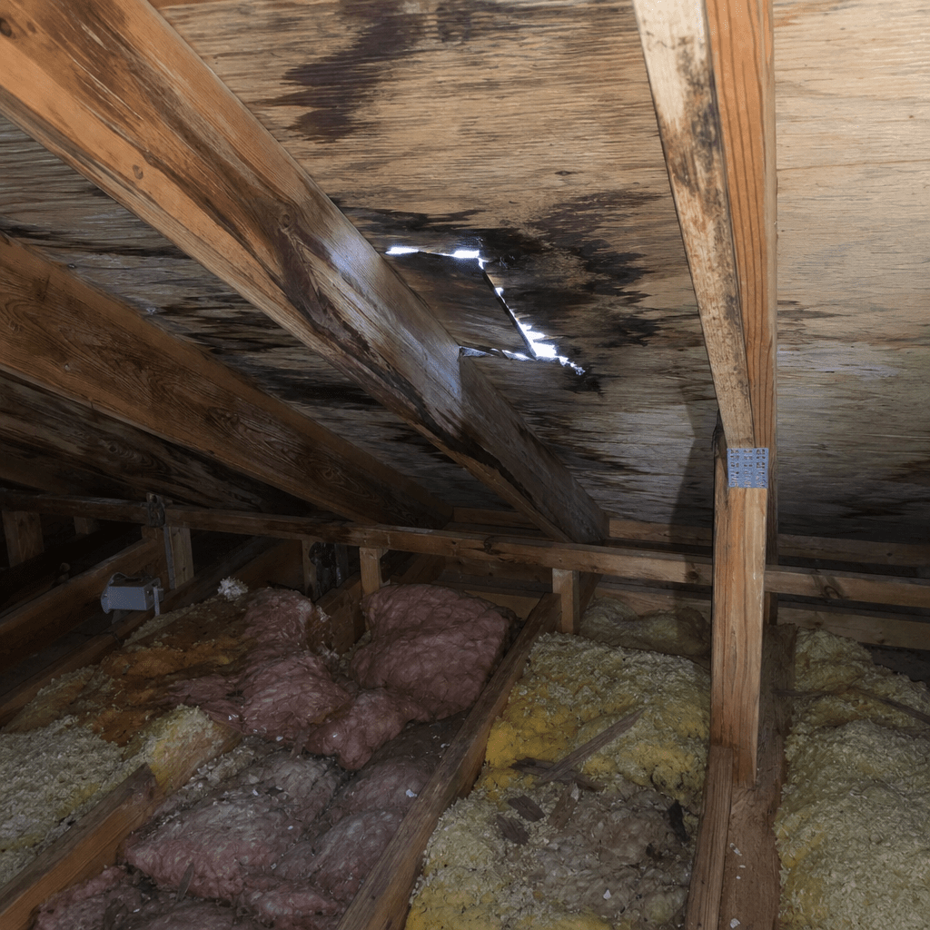 Illustration of an attic interior with water staining on the rafters and damp, matted insulation